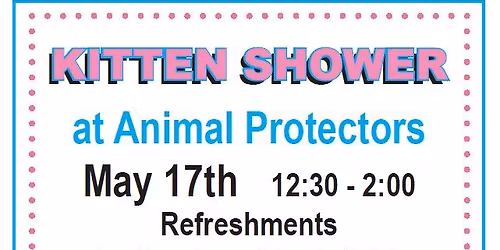 Kitten Shower - Animal Protectors