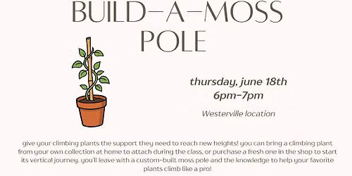 Build-a-Moss Pole Workshop