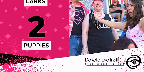 Minnesota Mud Puppies at Bismarck Larks at Bismarck Municipal Ballpark