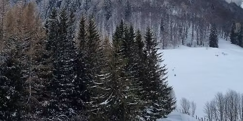 Drume\u021bie \ud83d\udd34100 lei Poiana Regal\u0103 (St\u00e2na Regal\u0103)