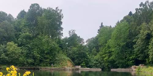 Urban fugletur langs Alna-elva