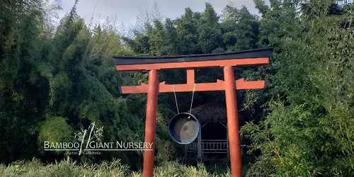 Founder\u2019s Tour at Bamboo Giant Nursery & Gardens