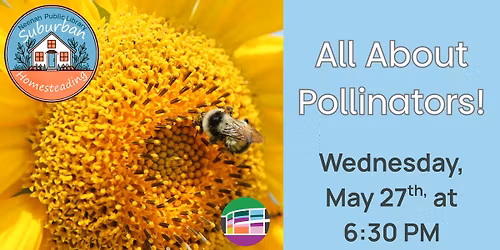 Suburban Homesteading: All About Pollinators!