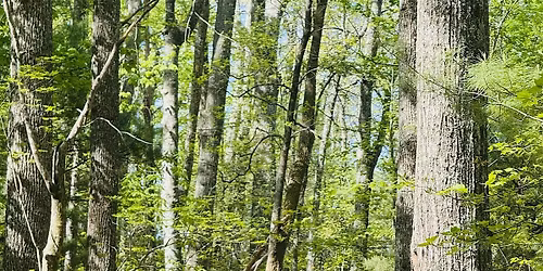 Celtic Eucharist Hikes