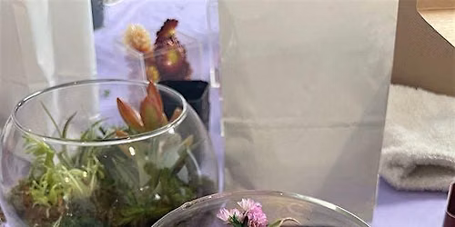 Create Your Own Succulent Sanctuary: Classic Open Terrarium Workshop