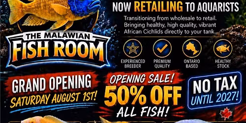 Grand opening.
