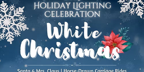 Holiday Lighting Celebration - White Christmas