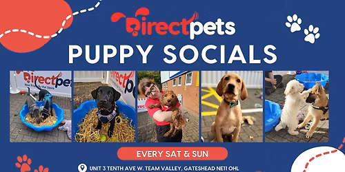 Puppy Social \ud83d\udc3e