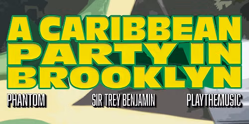 A Caribbean Party In Brooklyn