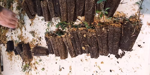 Iris Fund Planting Day Event