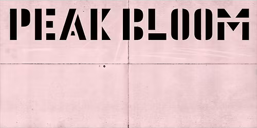 Peak Bloom by Hanna Ali