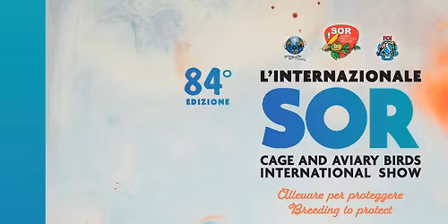 SOR Internazionale 84\u00b0 ediz. Modena