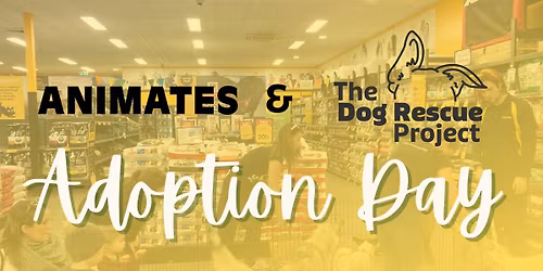 Animates Albany Adoption Day