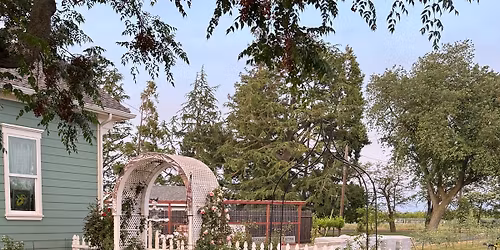 Home Veggie, Herb, Fruit Seed and Plant Swap