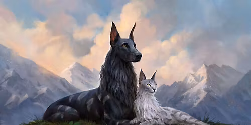 Sunday Casual Commander 