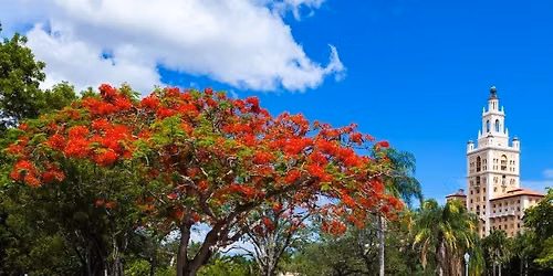 Royal Poinciana Fiesta - Gables Bike Tour