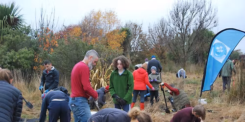 Eco-Action Red Zone planting, June 2026