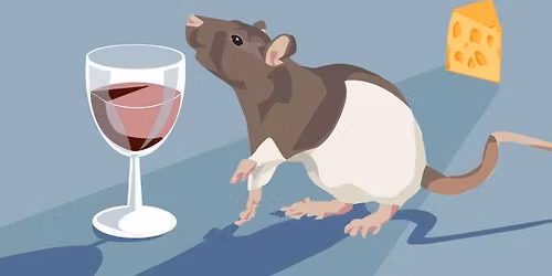 Sniff and Sip: Barn Hunt Run Fundraiser 