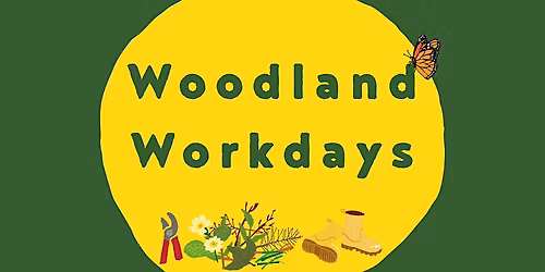 Woodland Workday at Temple Newsam