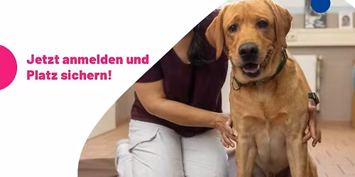 Hundeosteopathie - Grundausbildung