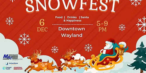 Snowfest Downtown Wayland 2025