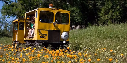 Shingle Springs Yellow A-car Rides