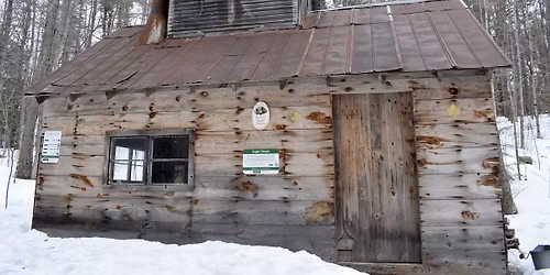 Polliwogs: Maple Sugaring Adventure