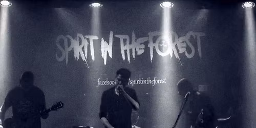 DEPECHE MODE TRIBUTE - SPIRIT IN THE FOREST W PSZCZ\u00d3\u0141KACH - 13.12.2025