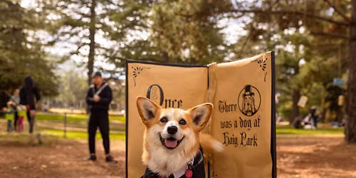 Once Upon a Paws: Book Week Paws Party