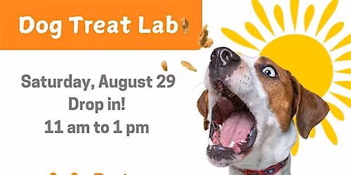 Dog Treat Lab