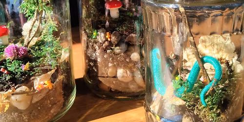 Terrarium Making Class for Kiddos + Adults w\/ food + drinks