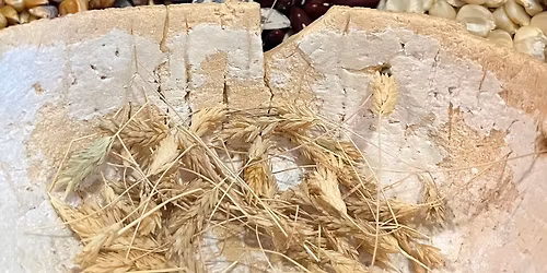 The Harvest Gathering of the Crops