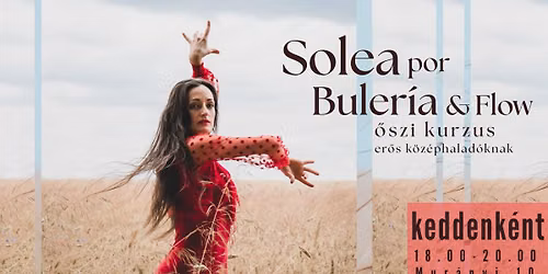Solea por Buler\u00edas & Flow \/ \u0151szi kurzus