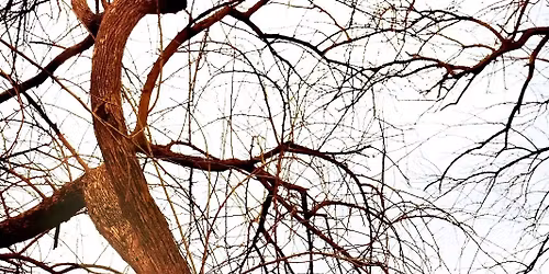 Good Flying Birds (indie rock lo-fi \/\/ Indianapolis) au Sonic