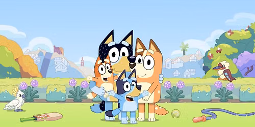 Bluey Party 