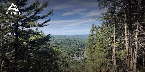 Why Our Brains Need Wildlands