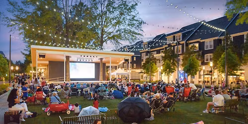 Lights, Camera, Birkdale