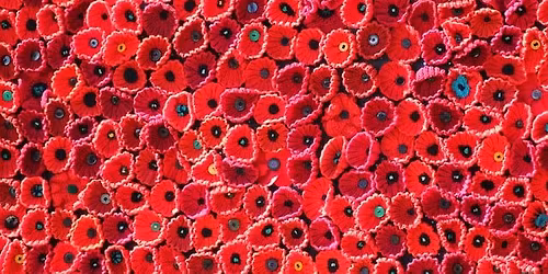 Crochet Flowers (Teens)