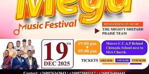 The Mega Music Festival