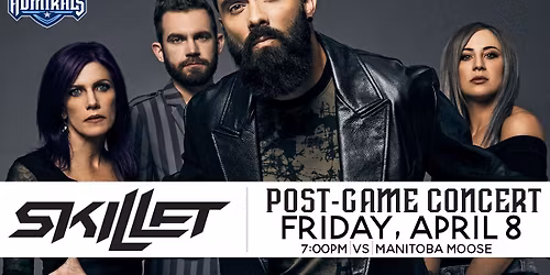 Manitoba Moose at Milwaukee Admirals