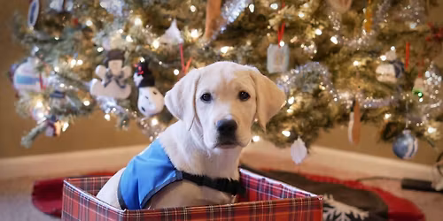 Paws & Claus Breakfast (presented by Order of the Eastern Star)