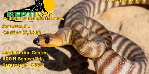 Reptiday Sarasota