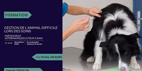 Gestion de l'Animal Difficile lors de soins - Chien - Partenariat V\u00e9to\/Educ