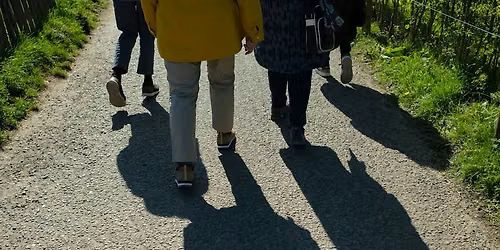 Walkie Talkies: A Fall Walking Group