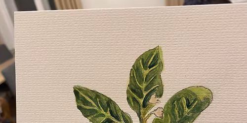 Warsztaty akwareli botanicznej dla pocz\u0105tkuj\u0105cych\/ro\u015bliny przyprawowe