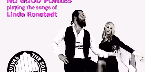 Back 2 Mac : A Tribute To Fleetwood Mac with The No Good Ponies playing ...