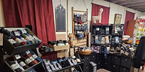 12th annual Alpaca Open Farm and Gift Shop (Free admission)