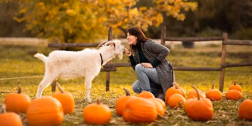Pumpkin Carving with Goats