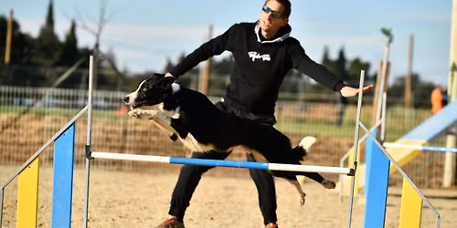 Stage s\u00e9minaire AGILITY avec J\u00e9r\u00e9my CHOMIENNE