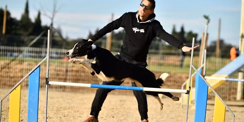 Stage s\u00e9minaire AGILITY avec J\u00e9r\u00e9my CHOMIENNE